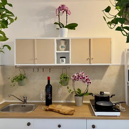 Apartman Sermina V *