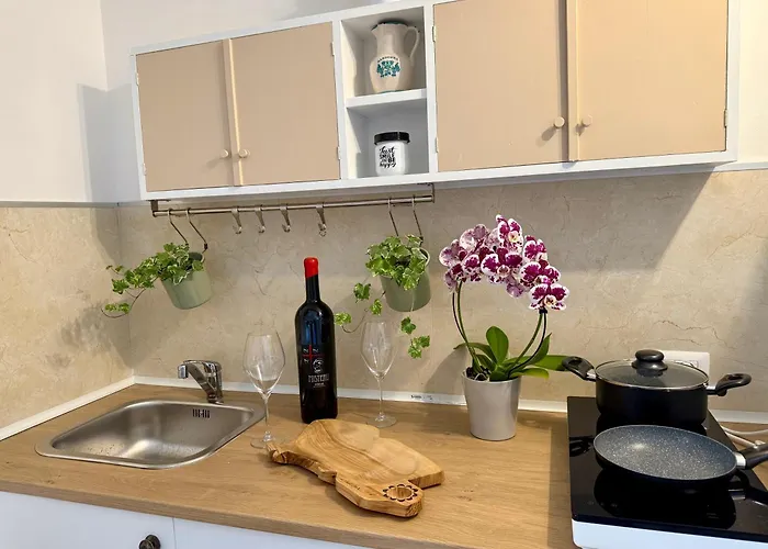 公寓 Sermina V 马达莱纳