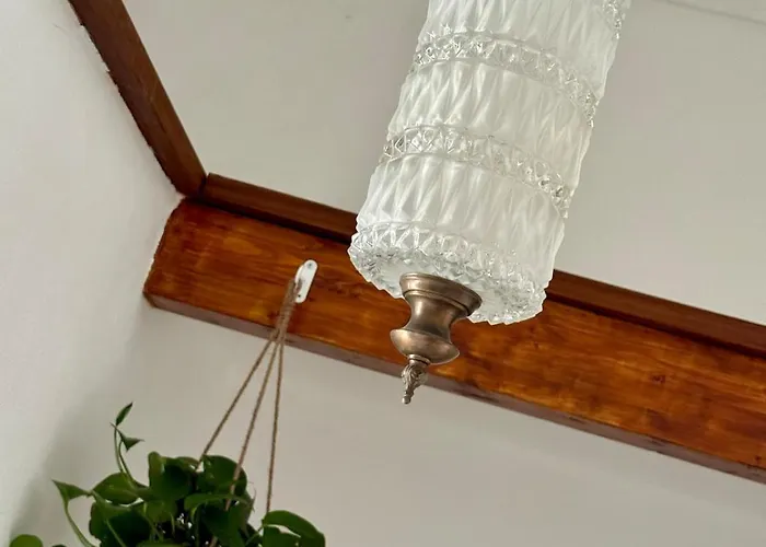 Sermina V 公寓 马达莱纳